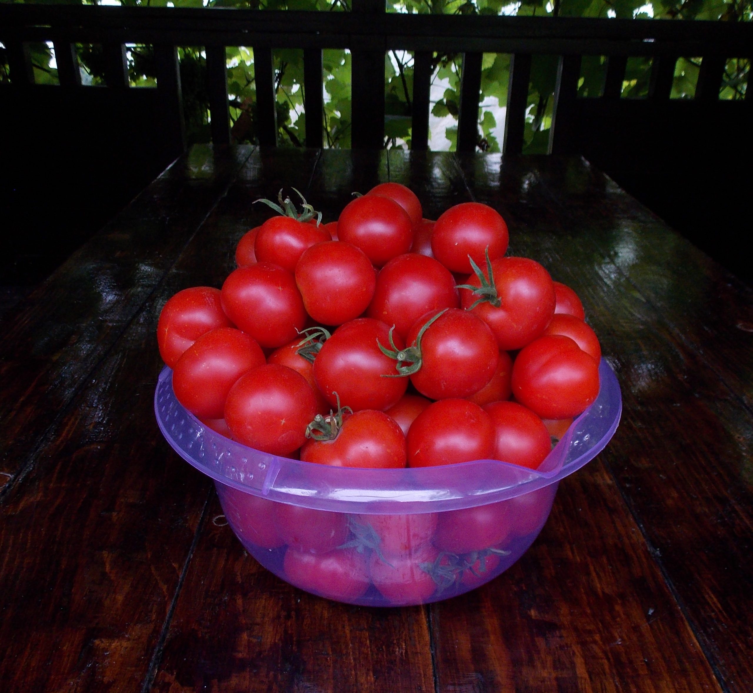 Где  семена томатов - Otziv-on